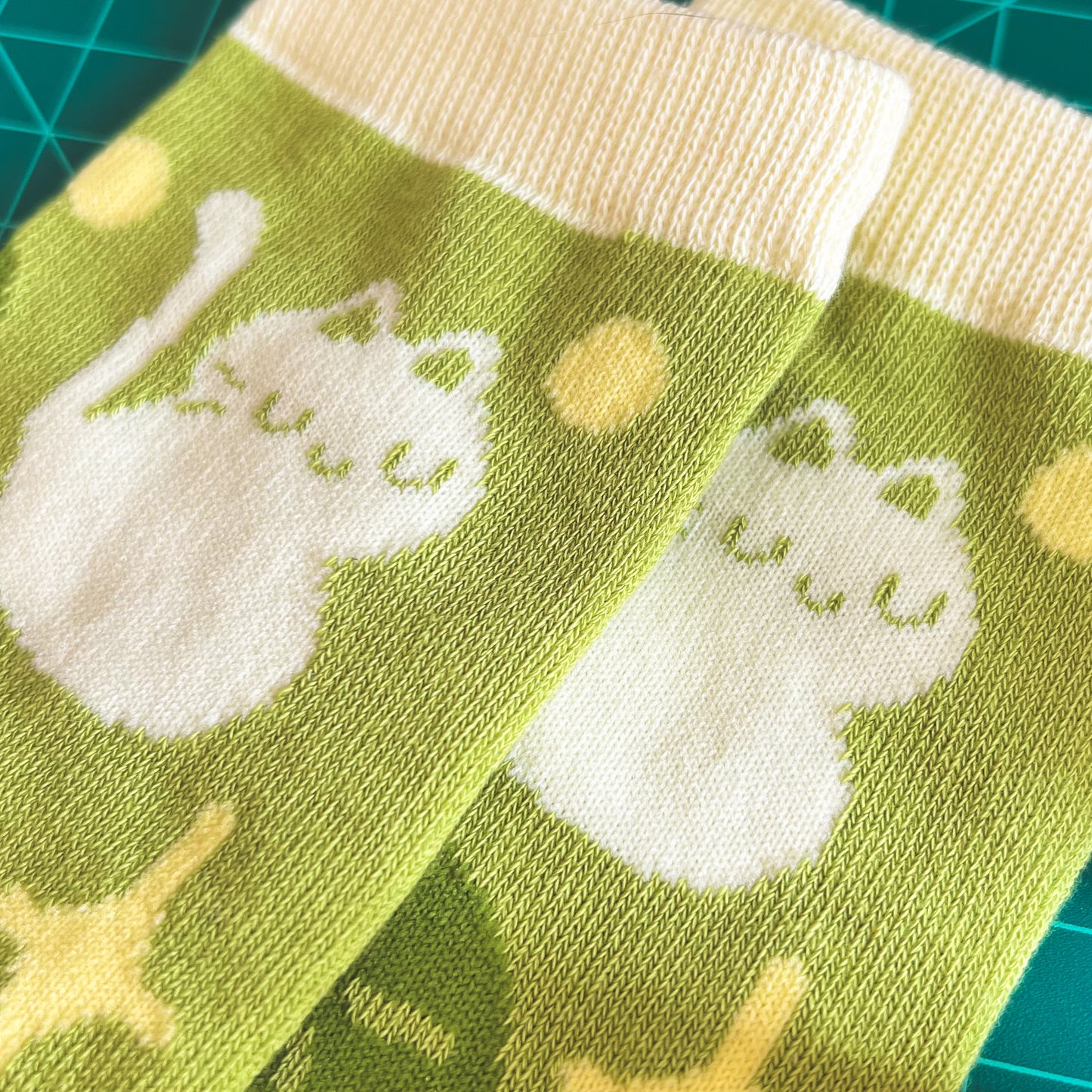 Plants and Cats Socks